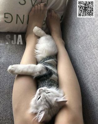 黑袍第一季完整版免费观看
